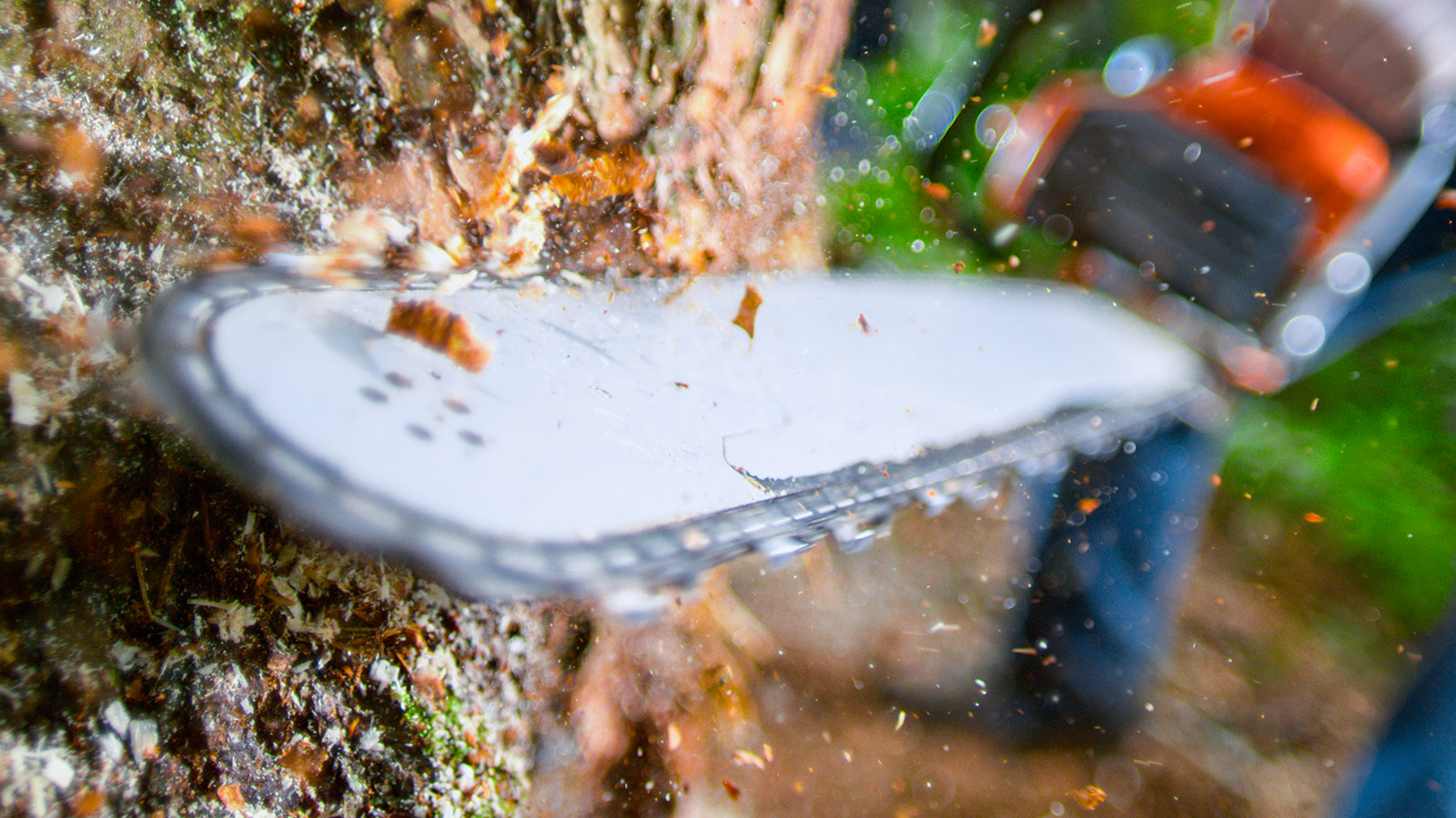 Waelzholz – Your partner for steel strip and innovative